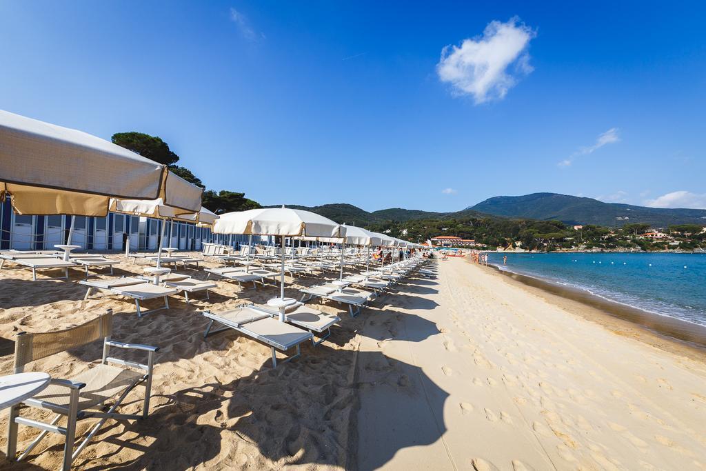 Delfino Procchio (Isola d'Elba)